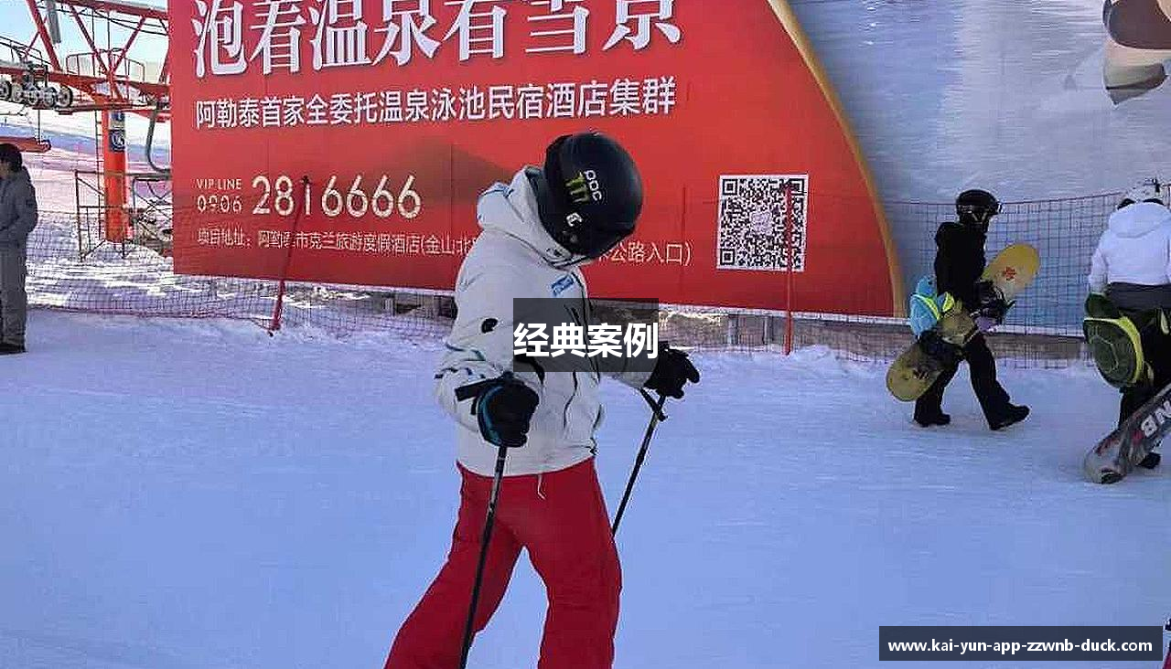 经典案例